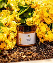 Load image into Gallery viewer, Manuka Honey MGO 263+ 250g by Tsubame