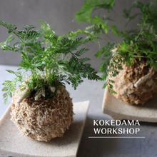 Load image into Gallery viewer, KOKEDAMA WORKSHOP 24th August