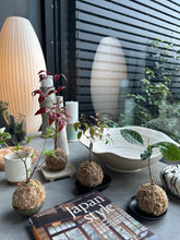 Load image into Gallery viewer, KOKEDAMA WORKSHOP 24th August