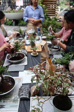 Load image into Gallery viewer, KOKEDAMA WORKSHOP 24th August