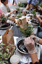 Load image into Gallery viewer, KOKEDAMA WORKSHOP 24th August