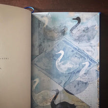 Load image into Gallery viewer, BIRD - Book