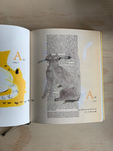Load image into Gallery viewer, Book :  A Book Cat Dictionary