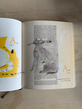 Load image into Gallery viewer, Book :  A Book Cat Dictionary
